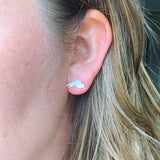Lake Superior Post Earrings